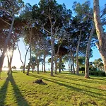 Family Apartments Zadar - Ryanair Exclusive